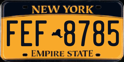NY license plate FEF8785