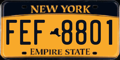 NY license plate FEF8801