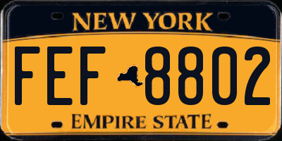 NY license plate FEF8802