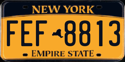 NY license plate FEF8813