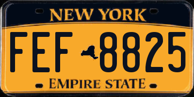 NY license plate FEF8825