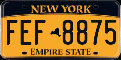 NY license plate FEF8875
