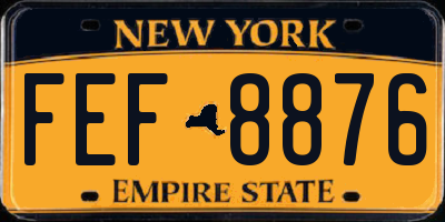 NY license plate FEF8876