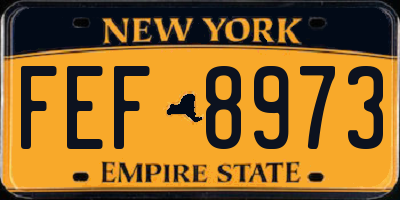NY license plate FEF8973