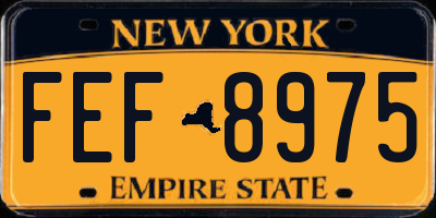 NY license plate FEF8975