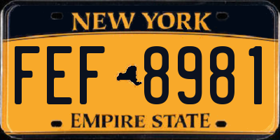 NY license plate FEF8981