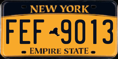 NY license plate FEF9013