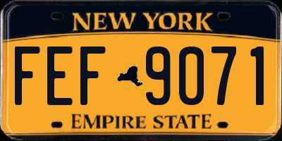 NY license plate FEF9071