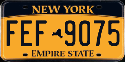 NY license plate FEF9075