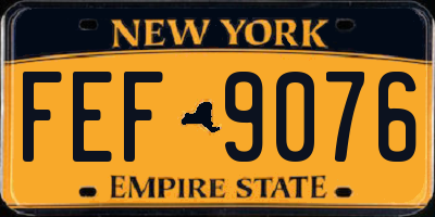 NY license plate FEF9076