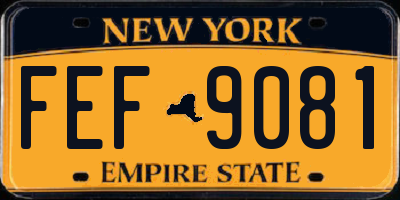 NY license plate FEF9081