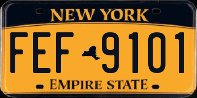 NY license plate FEF9101