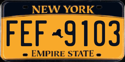 NY license plate FEF9103