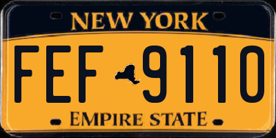 NY license plate FEF9110