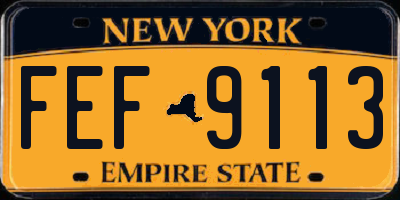 NY license plate FEF9113