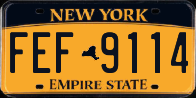 NY license plate FEF9114