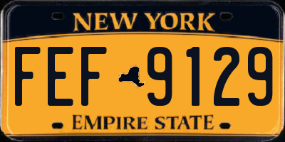 NY license plate FEF9129