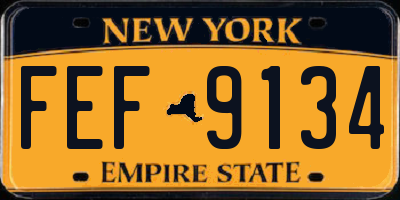 NY license plate FEF9134