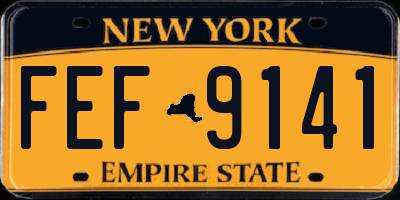 NY license plate FEF9141