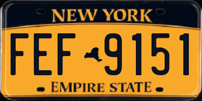 NY license plate FEF9151