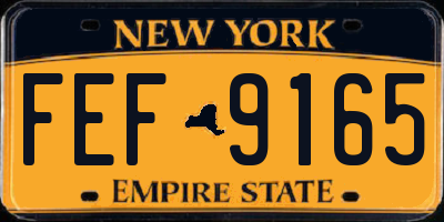 NY license plate FEF9165