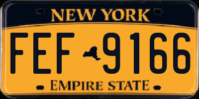 NY license plate FEF9166