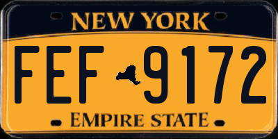 NY license plate FEF9172