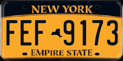 NY license plate FEF9173