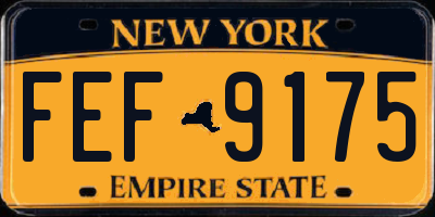 NY license plate FEF9175