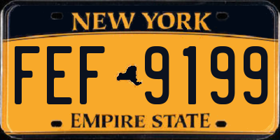 NY license plate FEF9199