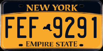 NY license plate FEF9291