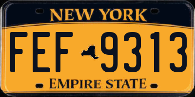 NY license plate FEF9313