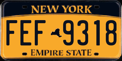 NY license plate FEF9318