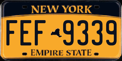 NY license plate FEF9339