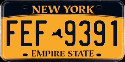 NY license plate FEF9391