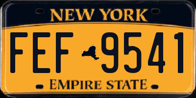 NY license plate FEF9541