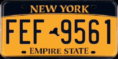 NY license plate FEF9561