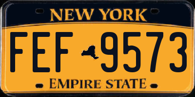 NY license plate FEF9573