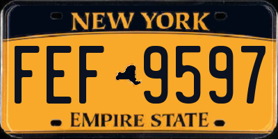 NY license plate FEF9597