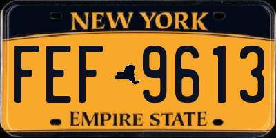 NY license plate FEF9613