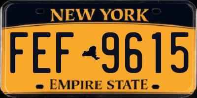 NY license plate FEF9615