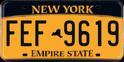NY license plate FEF9619