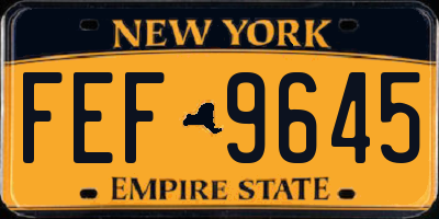 NY license plate FEF9645