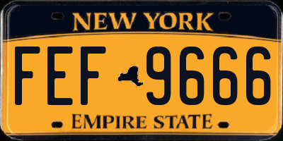 NY license plate FEF9666