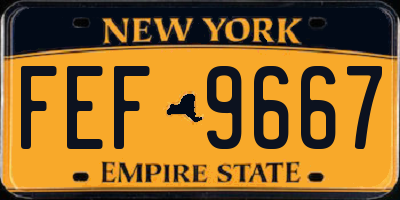 NY license plate FEF9667