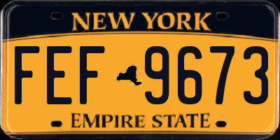 NY license plate FEF9673