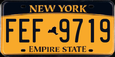 NY license plate FEF9719