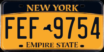 NY license plate FEF9754