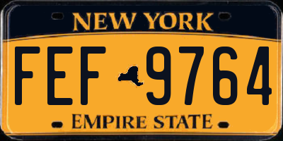 NY license plate FEF9764