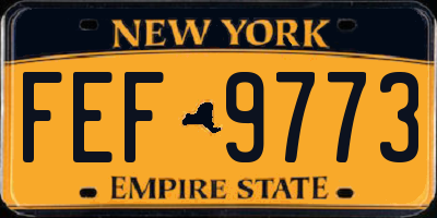 NY license plate FEF9773